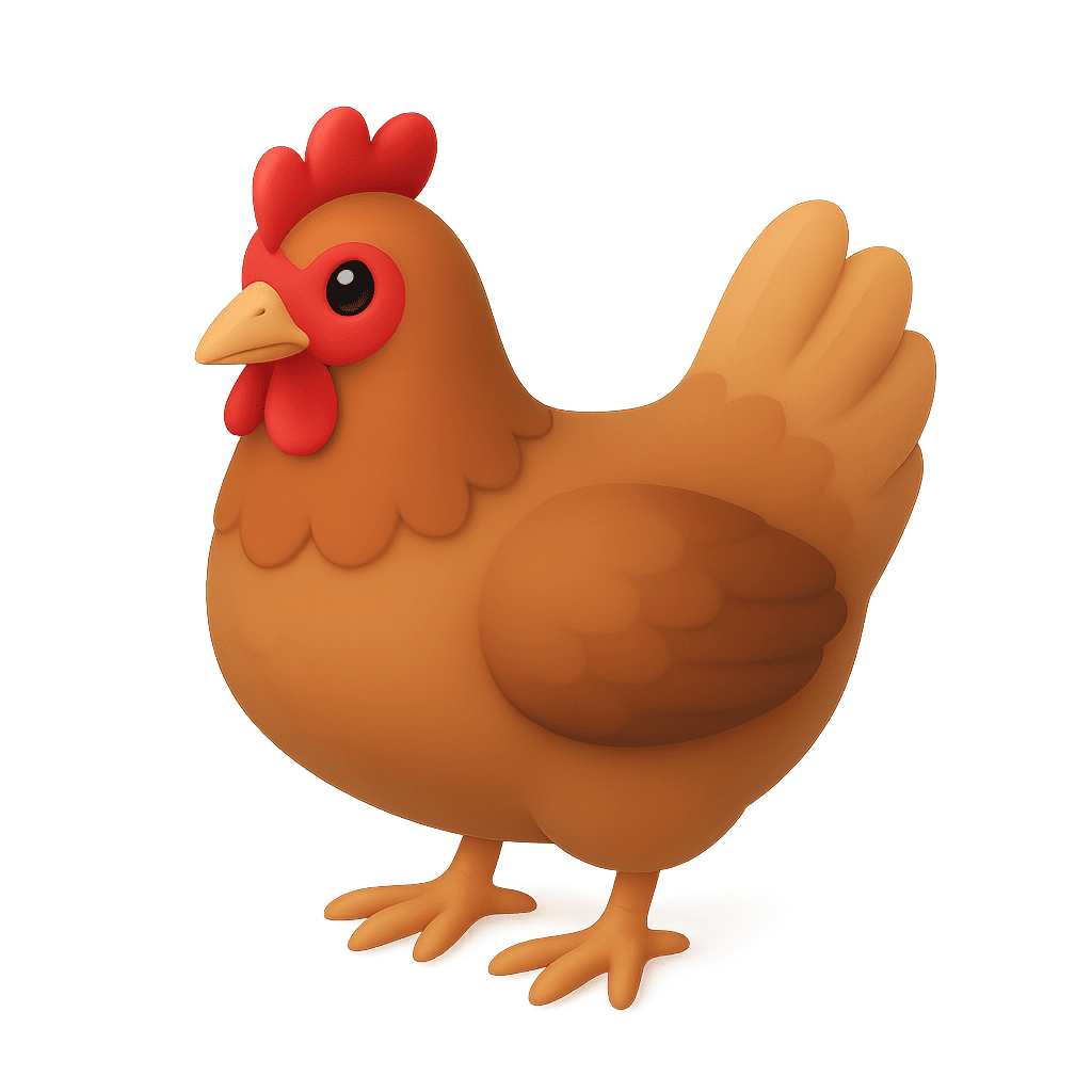 Chicken